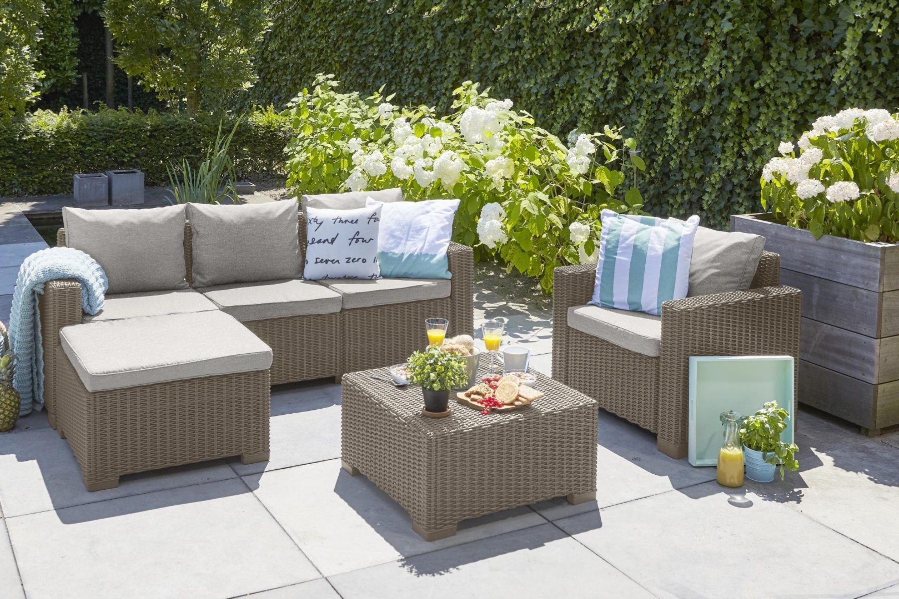 Lorem ipsum dolor sit amet, consectetur adipiscing elit